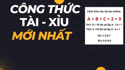 Hướng dẫn cá độ bóng đá tài xỉu - Bí quyết thắng cược lâu dài