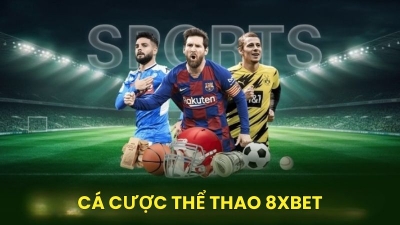 8xbet - Sân chơi cá cược đẳng cấp chuẩn quốc tế 2025